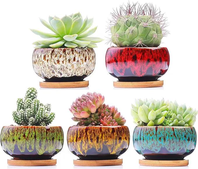 Cute Ceramic Succulent Garden Pots, Planter with Drainage and Attached Saucer, Set of 5 -Plants Not Included (Round) by GreenHaven Gardens