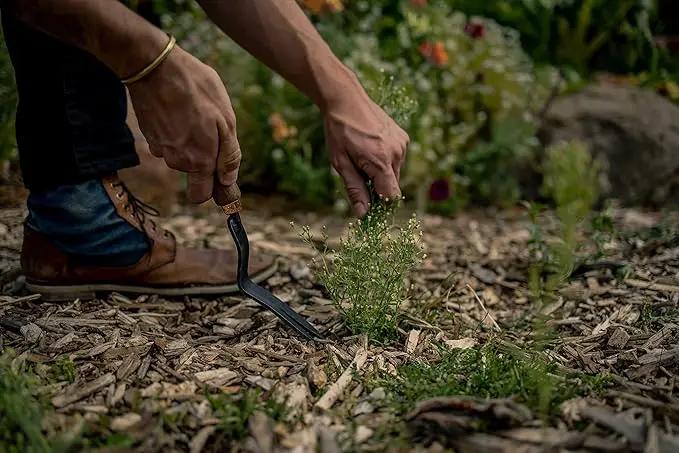 Barebones Dandelion Weeding Fork - Gardening Hand Tools - Japanese Hand Weeder, Weed Puller, and Weed Remover Tool (Walnut/Black) by GreenHaven Gardens