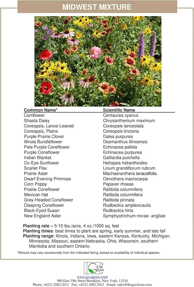 on The Go Seed Shaker - Midwest Wildflower Seeds Regional Mix - Organic, Non-GMO - 100% Pure Seed - 21 Different Wildflowers Seeds of Annual and Perennial, 8oz by GreenHaven Gardens
