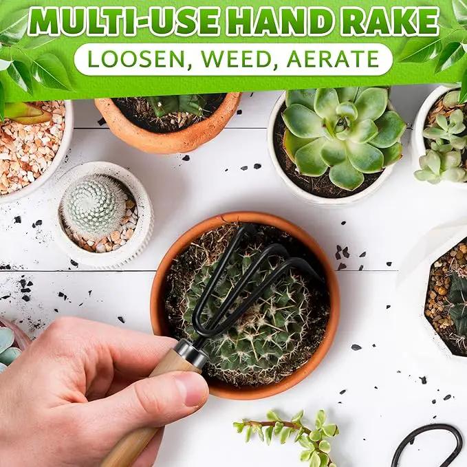 Mini Garden Tools - 3Pcs Indoor Plant Tools Set Indoor Gardening Tools Small Garden Shovel Mni Rake Small Gardening Tools Set Hand Rake Gardening Spade Gardening Supplies Indoor Garden Trowels by GreenHaven Gardens