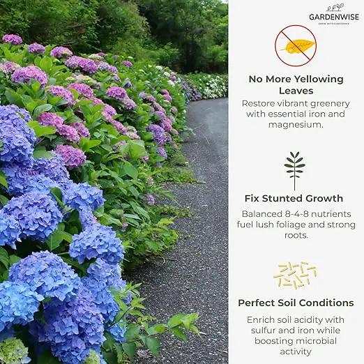 Slow Release Hydrangea Fertilizer with Iron & Sulfur – Indoor & Outdoor Soil Acidifier for Miracle Growth (4 qt) by GreenHaven Gardens