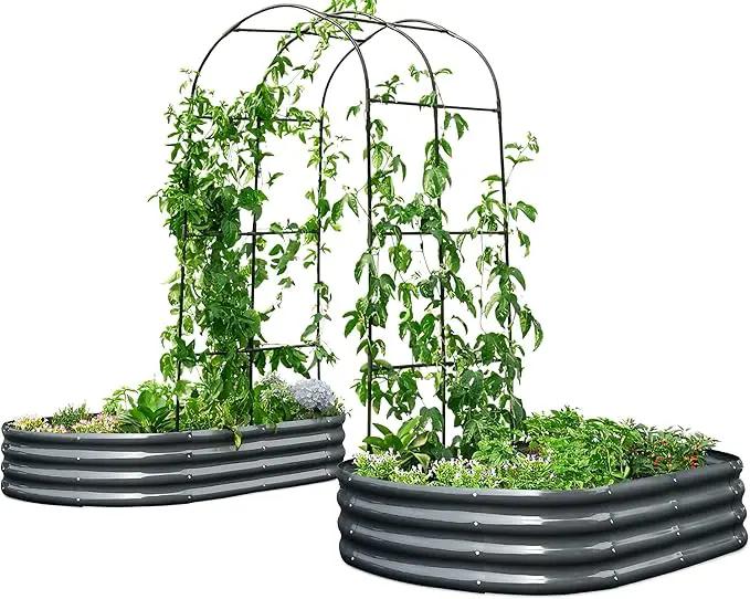 KING BIRD Raised Garden Bed with Arched Trellis Galvanized Planter Garden Box Outdoor for Gardening, Climbing Vegetables, Flowers 5.9x2.95x0.98 Ft 2PCS, Dark Grey by GreenHaven Gardens
