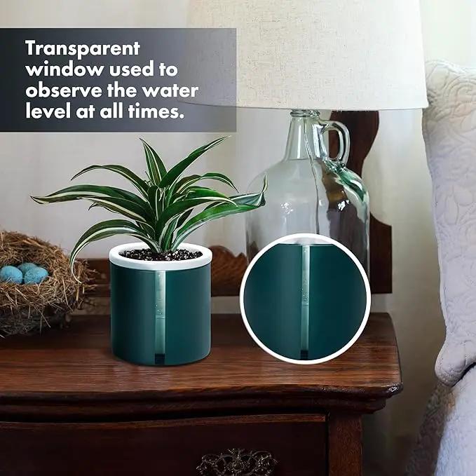 D'vine Dev 4 Inch Design Self Watering Planter for Indoor Plants, White Terracotta Pot with Teal Cylinder Glass Cup, Set of 2, 37-Y-A-5 by GreenHaven Gardens