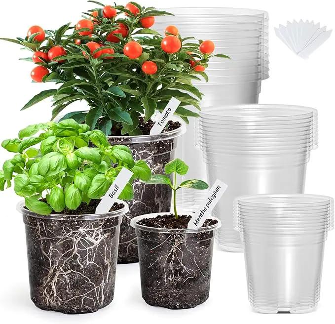 Bonviee Clear Nursery Pots for Plants, 6.7/5/4 Inch Plastic Seedling Pots with Drainage Holes, Planters for Indoor Plants and Transparent Seed Starter Pots with 10 Plant Labels, 30 Pack by GreenHaven Gardens