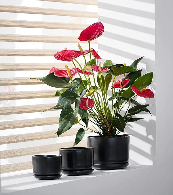 Ton Sin Plant Pots, 4.1+5.1+6.5 inch, Set of 3, Ceramic Planters with Drainage Hole and Saucer, Indoor Flower Pot with Hole Mesh Pad, Gifts for Mom（Matte Black） by GreenHaven Gardens