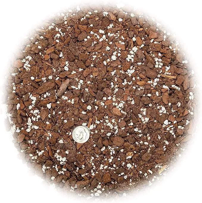 Monstera Borsigiana Soil Blend - Specially Designed for Unique Plant Needs - 4 Quart by GreenHaven Gardens