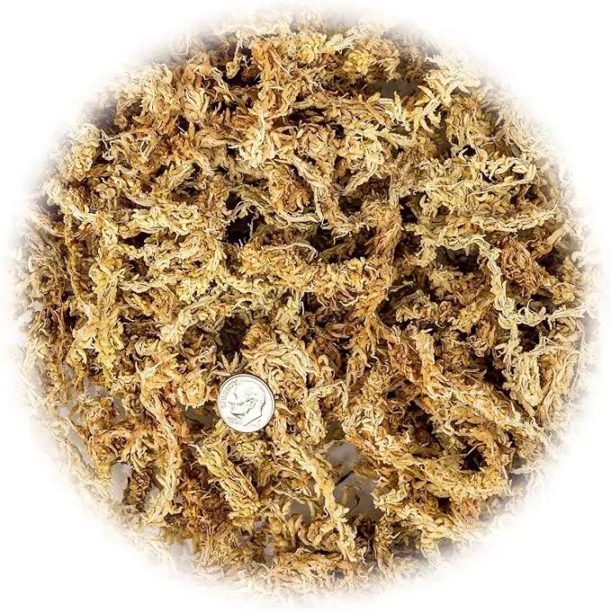 Premium New Zealand Sphagnum Moss by Gardenera - Organic Hand Mixed Long Fibered Sphagnum Moss Orchid - 2 Quart by GreenHaven Gardens