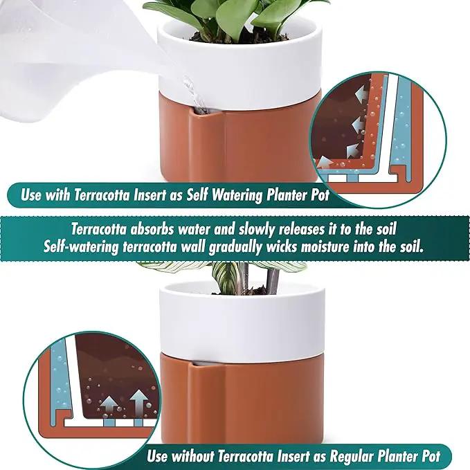 8 Inch Self-Watering Planter Pot with Terracotta Insert, Deep Water Reservoir, and Ceramic-Alike BPA-Free Plastic Planter Pot for Plant, Modern Planter for Houseplants, Terracotta/White, 53-B-T-6 by GreenHaven Gardens