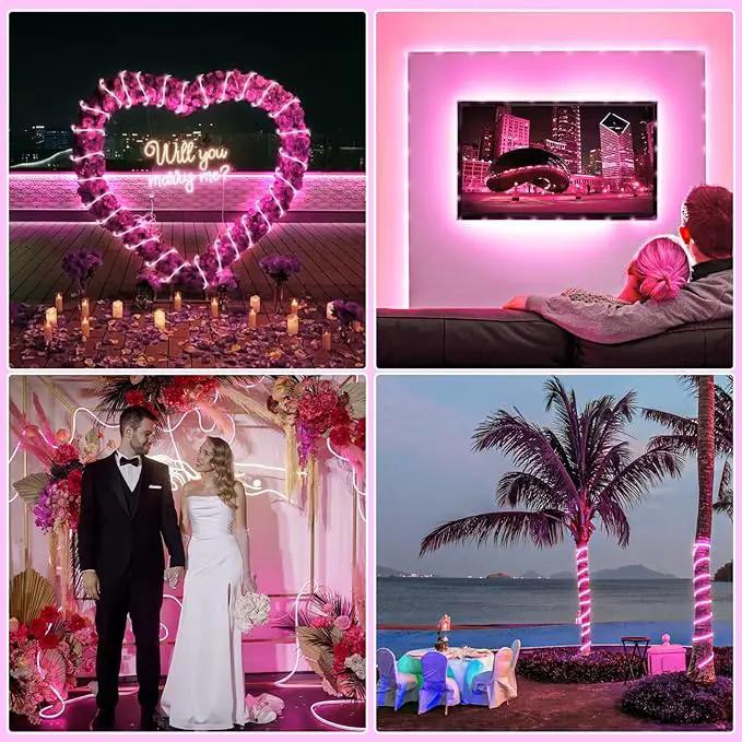 Easter Rope Lights Outdoor, 100FT 300 LED Christmas String Lights with Waterproof 8 Modes, Connectable Clear Tube Twinkle Light for Indoor Bedroom Patio Fence Party Wedding Decorations, Pink by GreenHaven Gardens