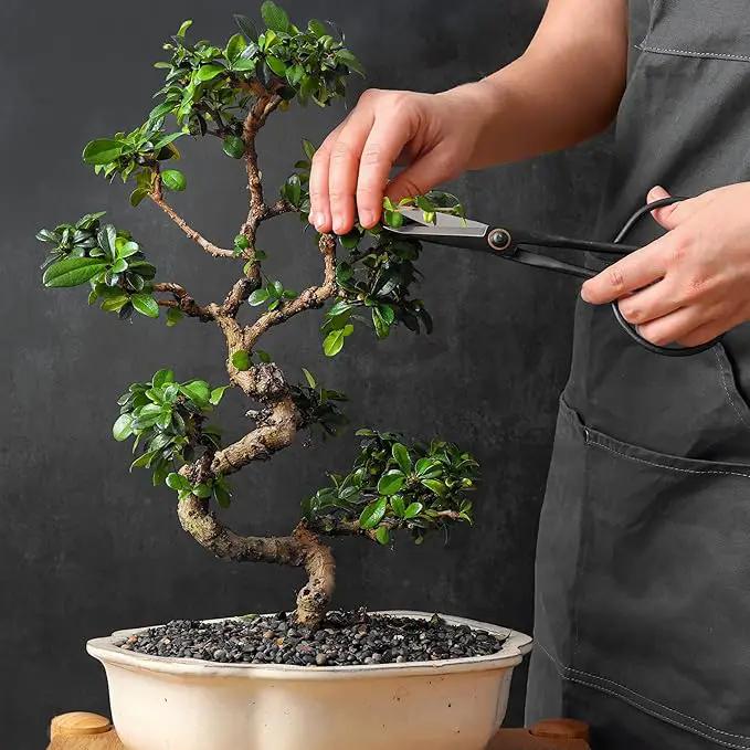 Professional Bonsai Slim Scissors | Pruning Shears for Trimming Plants | Japanese Gardening, Bonsai Tools | Garden Scissors by GreenHaven Gardens