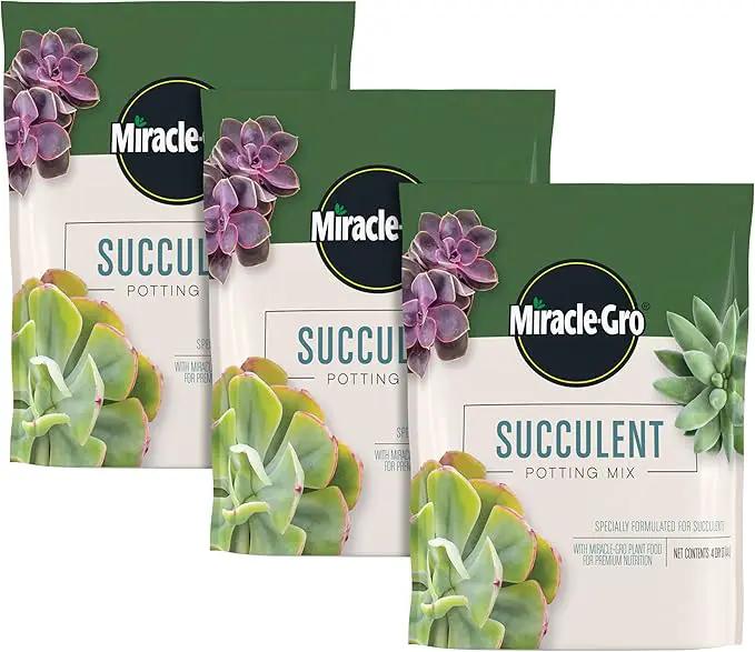 Miracle-Gro Succulent Potting Mix, for Indoor Succulents, Aloe Vera and More, Made with Miracle-Gro Plant Food, 4 qt. (3-Pack) by GreenHaven Gardens