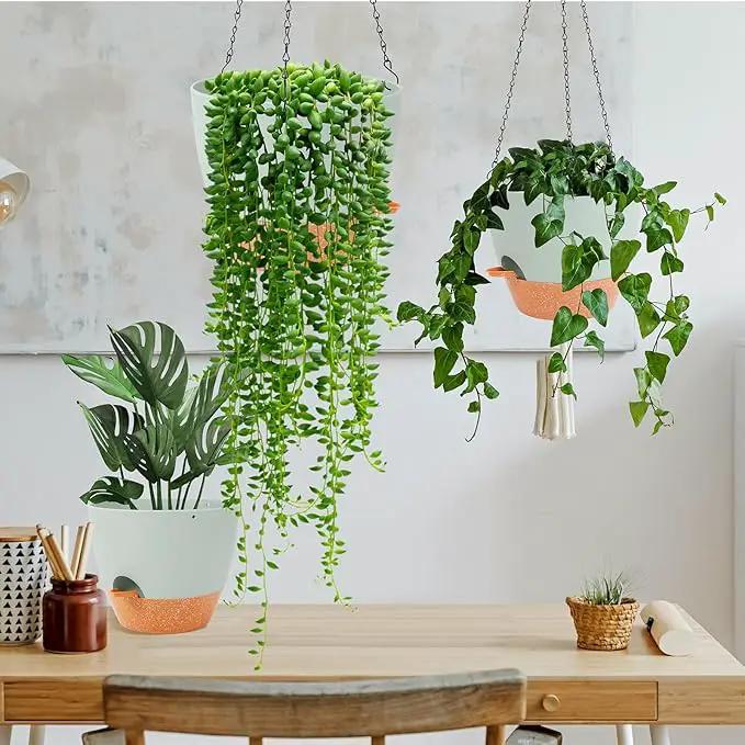 GARDIFE Hanging Planter, 10 inch Hanging planters for Indoor. Outdoor Plants, Self Watering Plant Pot, 2 Pack Large self Watering Hanging Planter, Green by GreenHaven Gardens