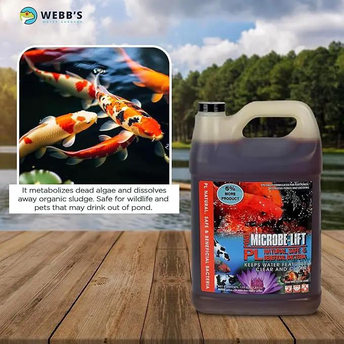 Webb's Water Gardens Microbe-Lift PL Beneficial Bacteria for Ponds and Water Features - Ideal for Wildlife and Aquatic Pets, 1.05 gallons by GreenHaven Gardens