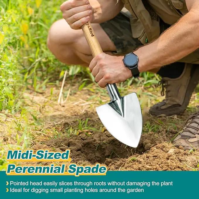 Berry&Bird Perennial Spade, 21.6''Long Trowel for Gardening Root Cutting Tool with Sharp Stainless Steel Blade, Wooden Handle Small Shovel Hand Edger Garden Tool for Planting, Digging & Transplanting by GreenHaven Gardens