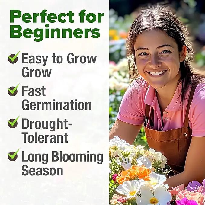 HOME GROWN 23,500+ Moss Rose Seeds (Bulk Pack) Annual Flower for Ground Cover - Heirloom 𝗡𝗢𝗡-𝗚𝗠𝗢 Portulaca Seeds for Planting Outdoors - Great for Low-Maintenance Gardens (Portulaca grandiflora) by GreenHaven Gardens