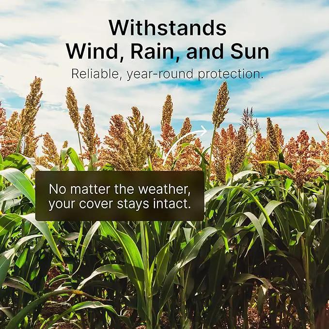 Screening Food Plot Seeds for Deer - Annual Mix - Egyptian Wheat, Sorghum (Grain/Sudangrass) - Spring, Summer & Fall Planting - 3 lbs by GreenHaven Gardens