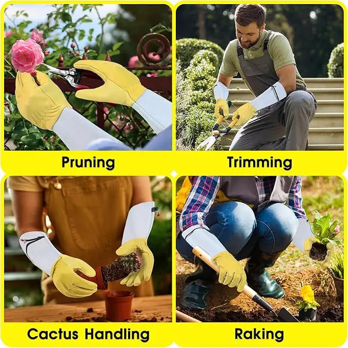 HANDLANDY Rose Gloves for Men & Women, Long Leather Gardening Gloves Thorn Proof, Best Garden Gifts & Tools for Gardener (Yellow-beige, Large (Pack of 1)) by GreenHaven Gardens