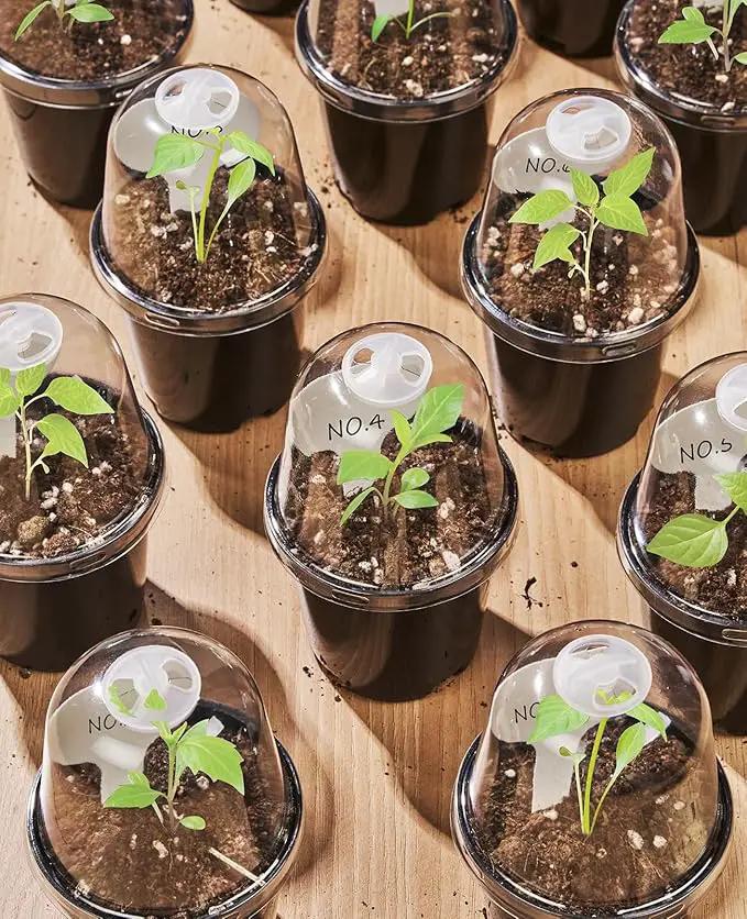 homenote Nursery Pots for Plants,5 Inch Plant Pot for Planting with Humidity Domes Plastic Seedling with Drainage Holes Seed Starter Flower with 10 Labels Black (15 Pack) by GreenHaven Gardens