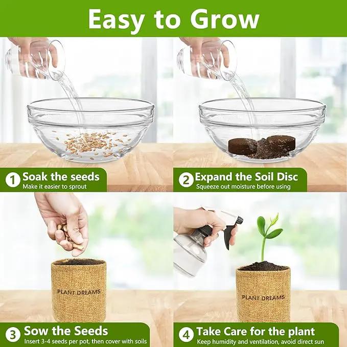 Bonsai Tree Kit, Bonsai Starter Kit with 4 Bonsai Tree Seeds, Tools & Planters, Bonsai Tree Live Plants Indoor, Gardening Gifts for Women Men Mom Father Plant Lover, Unique Christmas Gifts by GreenHaven Gardens