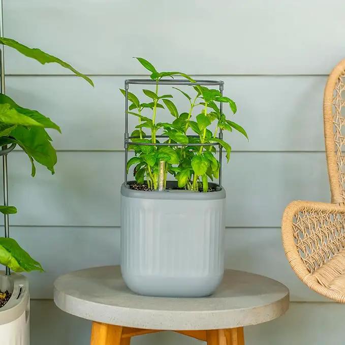 Vego garden Mini Planter Indoor Pots with Trellis Self-Watering Herb Countertop Planter for Climbing Vegetables Flowers Mint Plants Cage- Fog Gray by GreenHaven Gardens