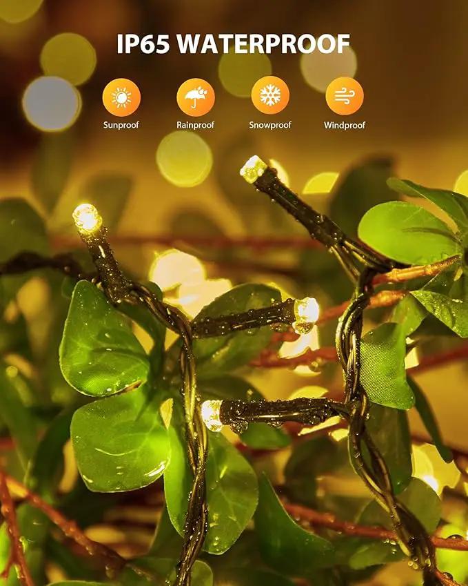 Brightown 2 Pack Solar String Lights for Outside, 92Ft 240 LED Solar Lights Outdoor Waterproof with 8 Modes, Solar Outdoor String Light for Patio Yard Tree Garden Party Decorations, Warm White by GreenHaven Gardens
