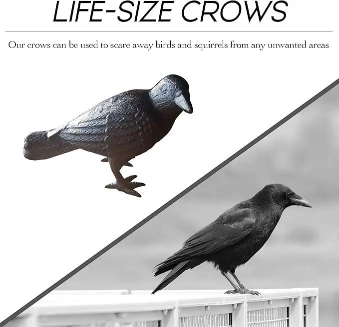 NACH Cast Iron Crow Statue, Head to Side Raven, Large Garden Statues, Crow Garden Sculpture, Bird Figurines Home Decor, Crow Decor, Raven Decor, Black Bird Statue, 4 x 11 x 6.5 inches, JS-90-7115 by GreenHaven Gardens