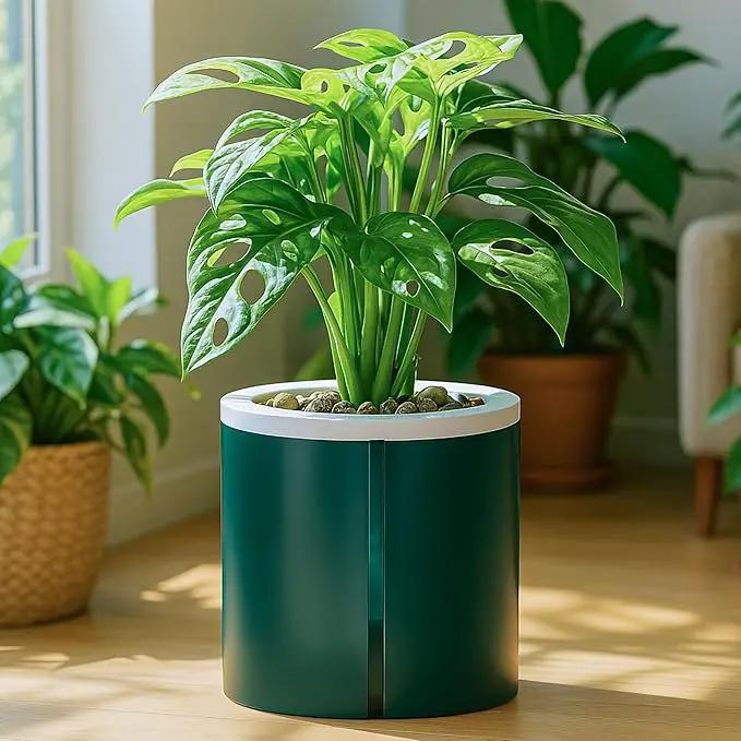D'vine Dev 6 Inch Design Self Watering Planter for Indoor Plants, White Terracotta Pot with Teal Cylinder Glass Cup, Set of 2, 37-Y-B-5 by GreenHaven Gardens