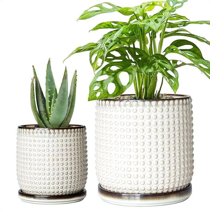 D'vine Dev 6 Inch 4 Inch Ceramic Indoor Planter Pots with Drainage Hole and Saucer, Beaded Design Flower Pots, Set of 2, Smoked White, 27-D-U-1 by GreenHaven Gardens