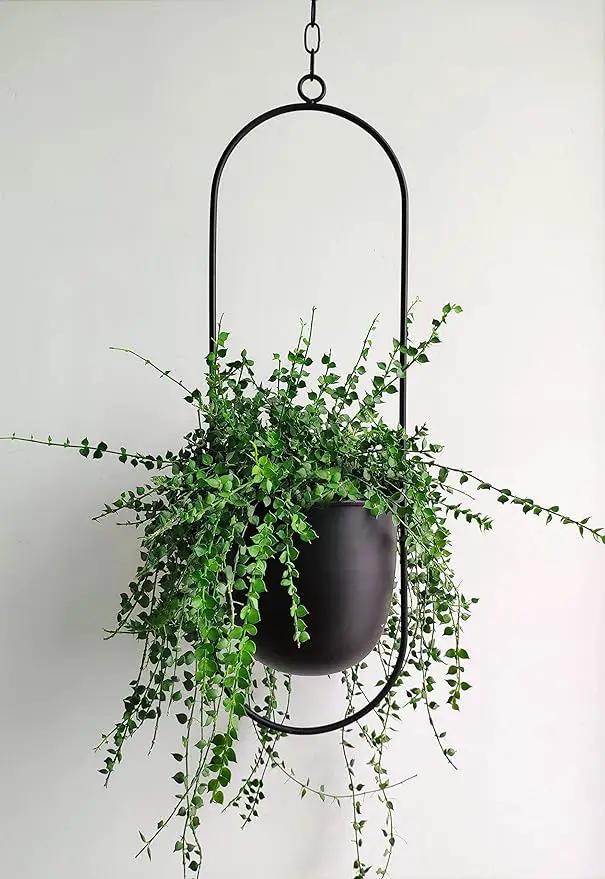 Boho Black Metal Plant Hanger,Metal Wall and Ceiling Hanging Planter, Modern Planter, Mid Century Flower Pot Plant Holder, Minimalist Planter for Indoor Outdoor Home Decor by GreenHaven Gardens