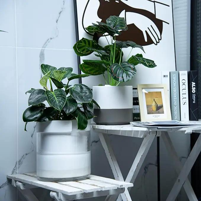 Phoenix Vine 8 Inch Self Watering Planter, White Terracotta Clay Pot with Glass Reservoir for Indoor Plants, Herbs, Flowers, Set of 1, 52-B-H-1 by GreenHaven Gardens