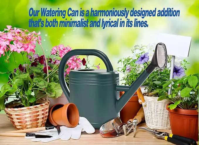 Watering Can 1 Gallon for Garden, Indoor Plants, Outdoor Plant House Flower, Large Long Spout with Sprinkler Head (Grey) by GreenHaven Gardens