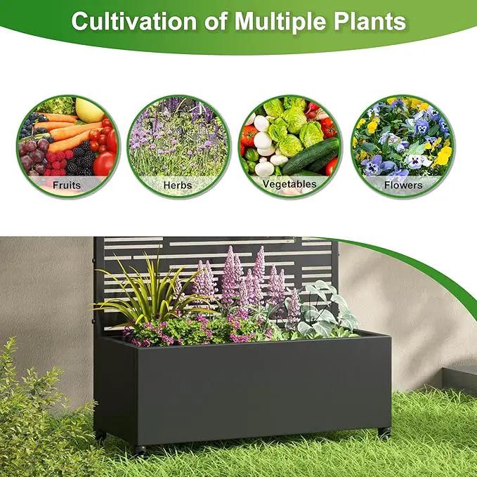 Casaphoria Metal Raised Garden Bed with Trellis and Wheels, 72"x35"x16" Planter Box for Climbing Plants, Vegetables & Vines, Features Drainage Holes and Privacy Screen (Black-Shine) by GreenHaven Gardens