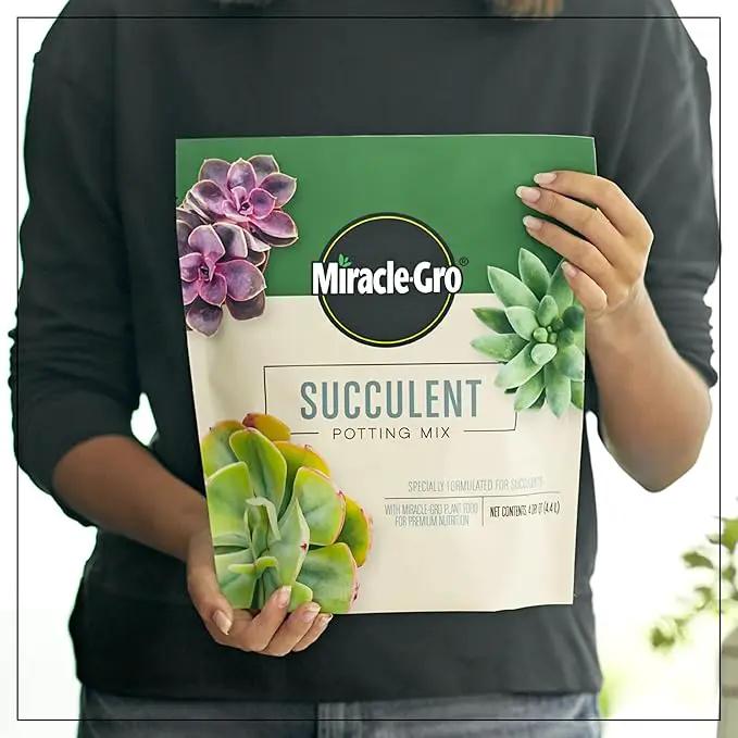 Miracle-Gro Succulent Potting Mix, For Indoor Succulents, Aloe Vera and More, Made with Miracle-Gro Plant Food, 4 qt by GreenHaven Gardens