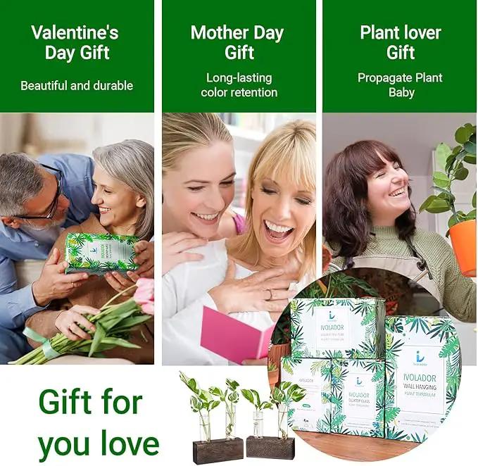 Ivolador Plant Propagation Stations 4 Test Tube Plants Terrariums in Wooden Stand Gifts for Plant Lovers for Hydroponic Plants Office Home Decor Hydroponic Vase Gift Box 2 Sets by GreenHaven Gardens