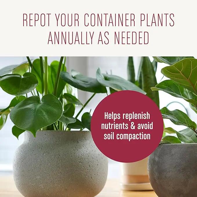 Miracle-Gro Houseplant Potting Mix, for Indoor Container Plants, Feeds for up to Six Months, 4 qt. (3-Pack) by GreenHaven Gardens