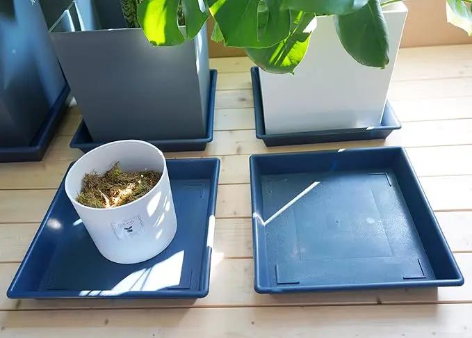 Square Plant Saucer 20 Inch 2 Pack, Large Plant Trays for Pots Heavy Duty Plastic Plant Saucers for Indoors Outdoors, Flower Pot No Holes Plant Lover Gardening Gifts by GreenHaven Gardens