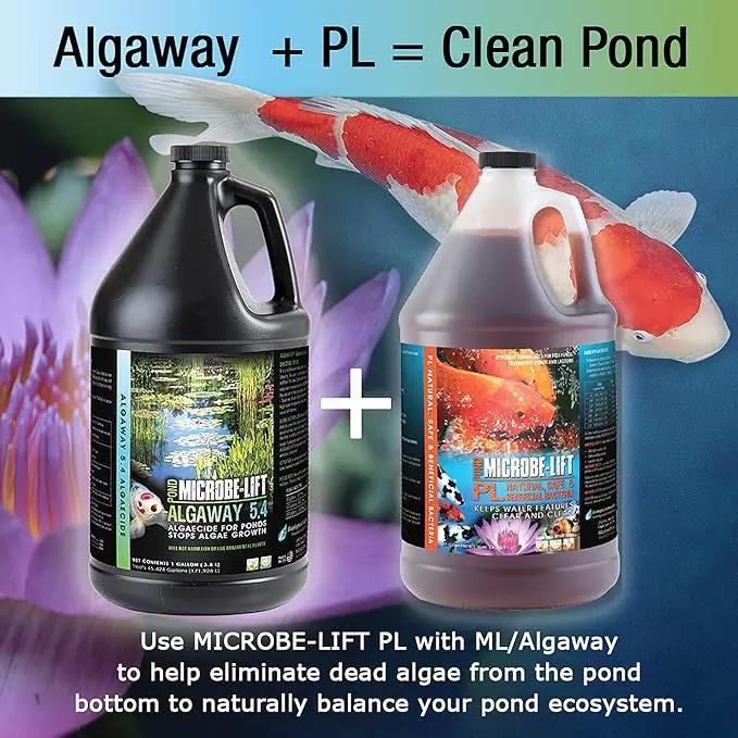 MICROBE-LIFT ALGAGAL Algaway 5.4 Algae Control Treatment for Ponds and Water Gardens, Safe for Koi Fish, Goldfish, Plants, and Decorations, 1 Gallon by GreenHaven Gardens