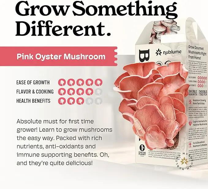 Pink Oyster Mushroom Grow Kit, Grow Your Own Fresh Gourmet Mushrooms at Home, Includes Instructions and Recipes (Pink Oyster) by GreenHaven Gardens