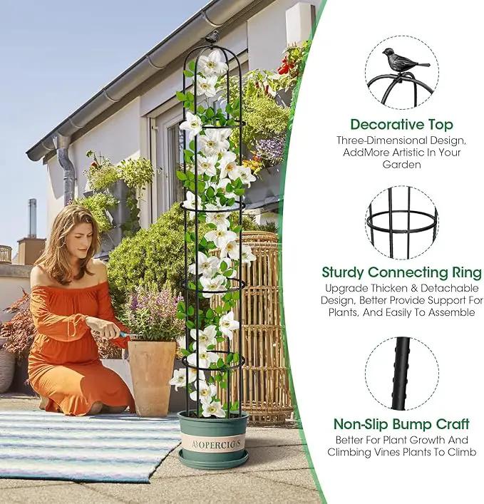 2 Pcs Garden Trellis for Climbing Plants, 6.2 Ft Rustproof Metal Pipe with Heavy Duty Plastic Coated, Garden Outdoor Indoor Potted Plant Support, Obelisk Garden Trellis for Climbing Vine by GreenHaven Gardens