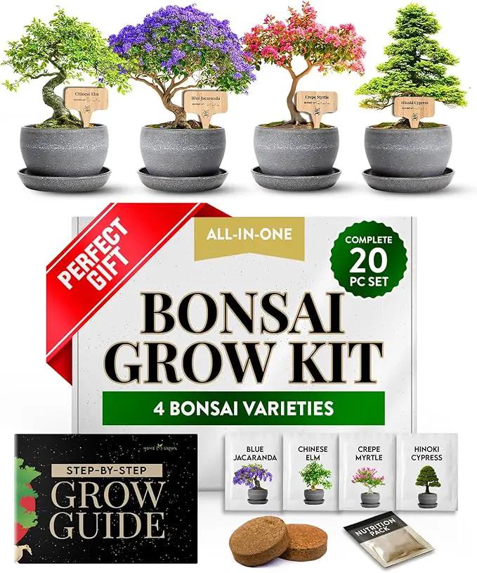 HOME GROWN Bonsai Tree Kit – Easy to Grow 4 Species of Bonsai w/Our Complete Plant Kit: Bonsai Pots & Peat Pellets Including a Bonus in-Depth Grow Guide - Great Gardening Gifts for Women and Men by GreenHaven Gardens