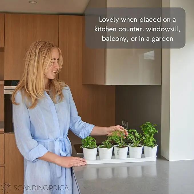 SCANDINORDICA White Herb Planter 5 Pots with Drainage Holes and Tray, Windowsill Planter, Indoor/Outdoor Herb Pots by GreenHaven Gardens