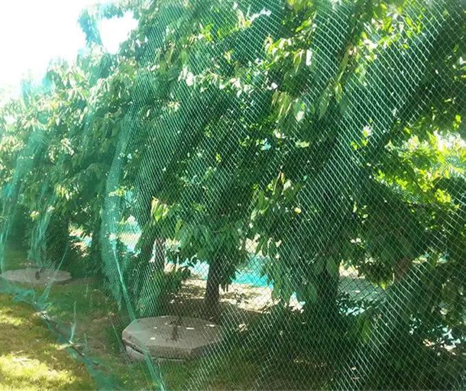 CandyHome 13Ft x 33Ft Anti Bird Protection Mesh Garden Netting Seedlings Plants Flowers Fruit Trees Vegetables from Rodents Deer Reusable Fencing, Green by GreenHaven Gardens