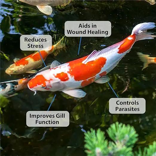 CrystalClear ParaSalt Outdoor Pond & Water Garden Rock Salt Crystals, Anti Fish Parasite, Beneficial Stress Reducing & Slime Coat Treatment, Natural Aquatic Additive, Koi, Plants & Pet Safe, 10 lbs by GreenHaven Gardens