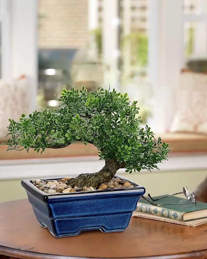 Artificial Bonsai Tree Faux Plants Indoor Fake Plants Decor with Blue Square Ceramic Pots for Home Table Office Desk Bathroom Shelf Bedroom Living Room Farmhouse Decorations by GreenHaven Gardens