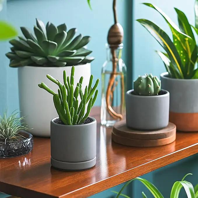 D'vine Dev 3.5 Inch & 4.7 Inch Ceramic Planter Pots for Plants with Drainage Hole and Saucer, X-Small Plant Pots Set, Speckled Grey, 94-G-XS-3 by GreenHaven Gardens