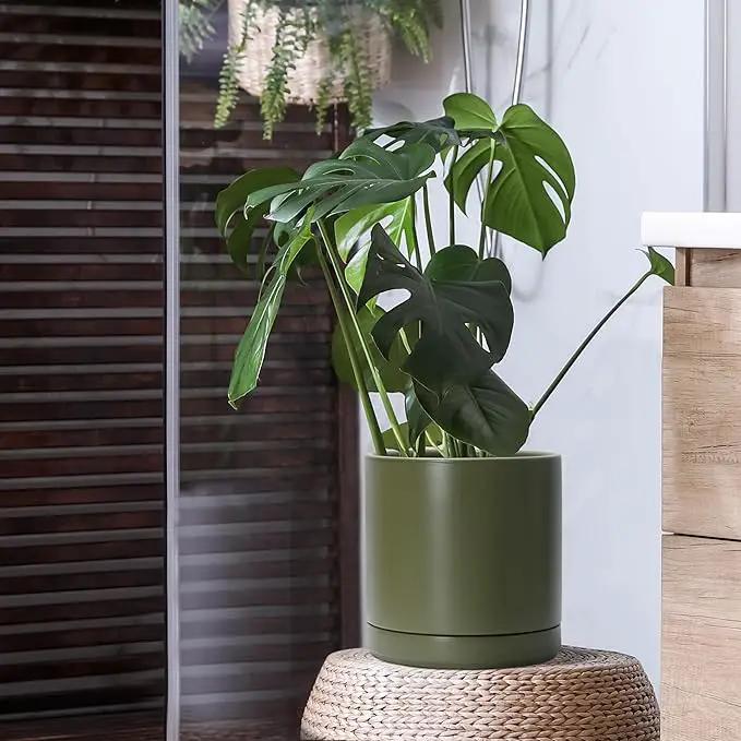 D'vine Dev 10 Inch Ceramic Planter Pot with Drainage Hole and Saucer, Indoor Cylinder Round Planter Pot, Olive, 94-O-E-J by GreenHaven Gardens