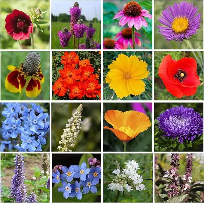 Mini Wildflower Seed Shaker – Honey Bee Wildflower Mix, by GevaGrow | Bulk 90,000+ Seeds | Pollinator Bee Attracting Flower Seeds for Planting in Pots & Outdoor Gardens | No Messy Packets by GreenHaven Gardens