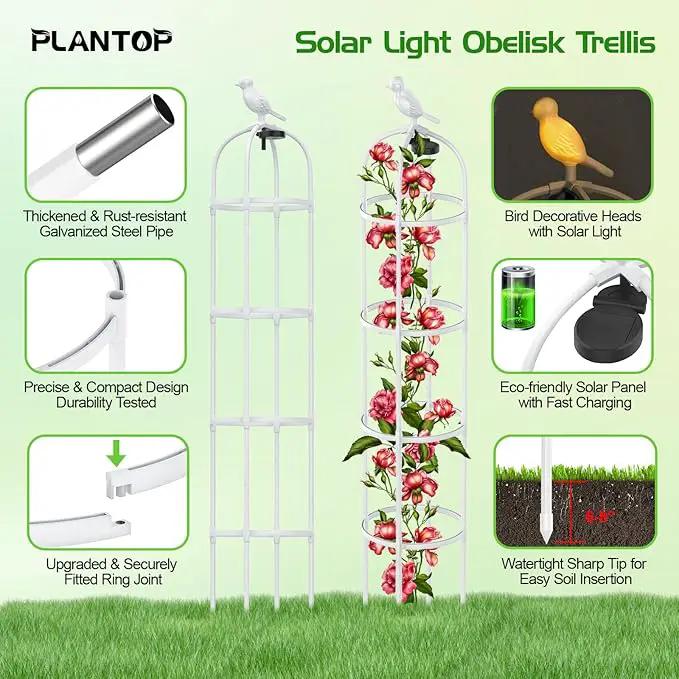 2 Pack Garden Obelisk Trellis with Solar Light, 6 Ft Trellis for Climbing Plants Outdoor Rose Bush Round Trellis for Pots, Rustproof PE Coated Metal Plant Support for Flowers Vine Indoor by GreenHaven Gardens