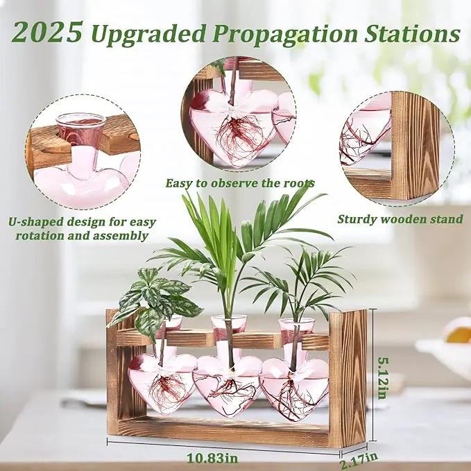 Lifecapido Heart Shaped Propagation Stations, Plant Terrarium with Wooden Stand, Plant Propagation Station for Hydroponics Plants Office Garden Home Decor, Gifts for Women Plant Lover (3 Vases, Pink) by GreenHaven Gardens