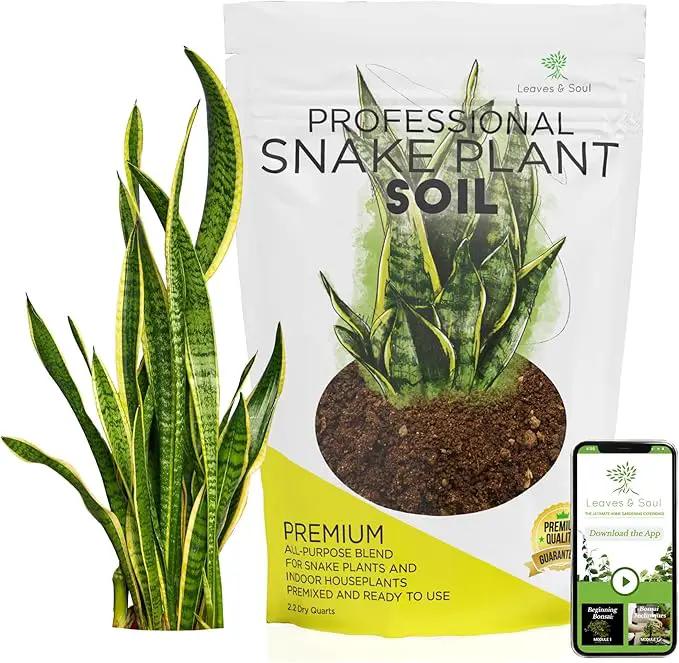 Professional Snake Plant Soil | Large 2.2 Quarts Ready to Use for Snake Plants | Peat Moss, Coco Coir, Perlite, Dolomite | Made in USA by GreenHaven Gardens